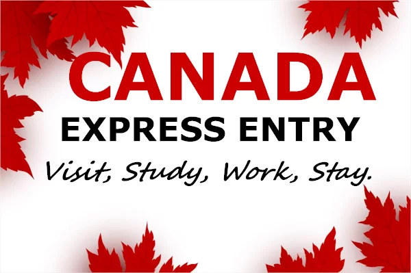 GIEC GLOBAL Sri Lanka is the best canada express entry in Sri Lanka