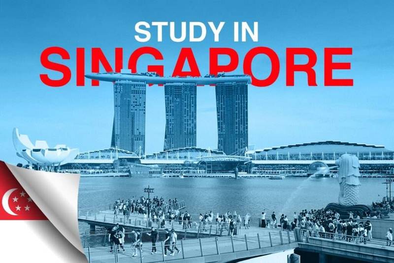 study abroad consultants